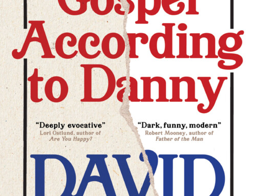 THE GOSPEL ACCORDING TO DANNY, a New Novel from David Hicks